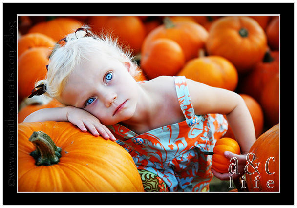 09_27_09pumpkinsFB-042 09_27_09pumpkinsFB-042